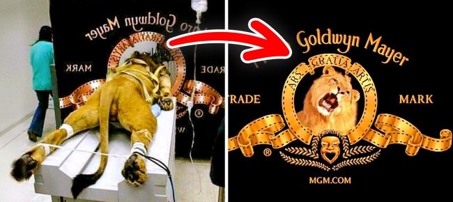 mgm